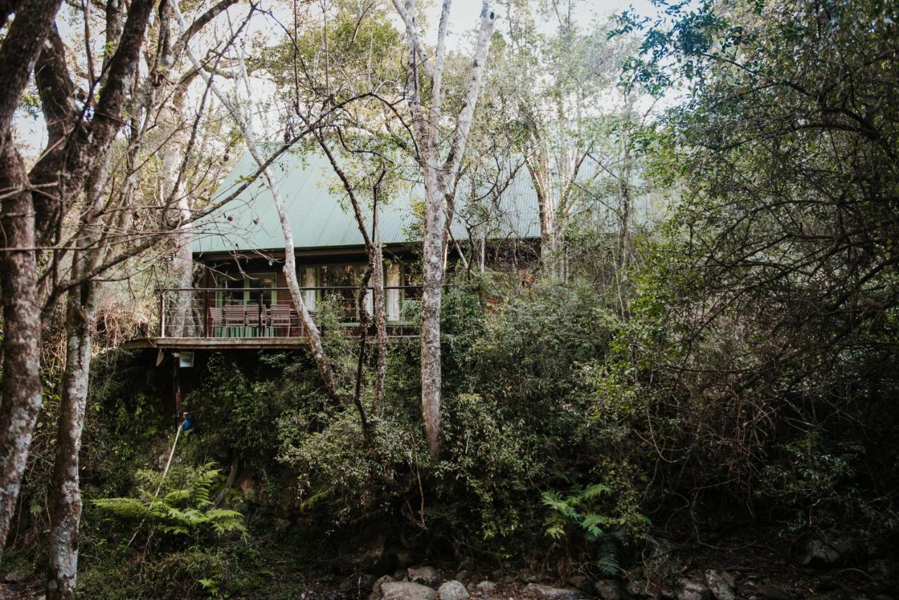Rockwood Karkloof Forest Lodge & Mountain Cabin Yarrow Exterior foto